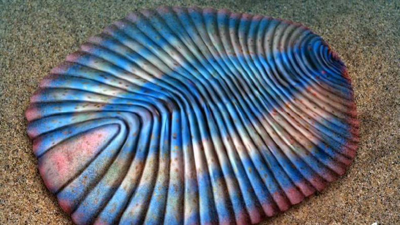 Jejak Hewan Purba yang Telah Menghuni Bumi Jauh Sebelum Manusia