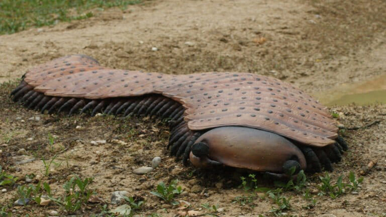 Penemuan Fosil Mengungkap Kaki Seribu Raksasa Seukuran Mobil dengan Wajah Menyeramkan