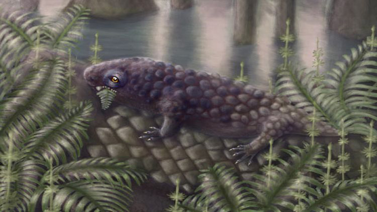 Fosil 307 Juta Tahun Lalu Ungkap Hewan Darat Pemakan Tumbuhan di Kanada